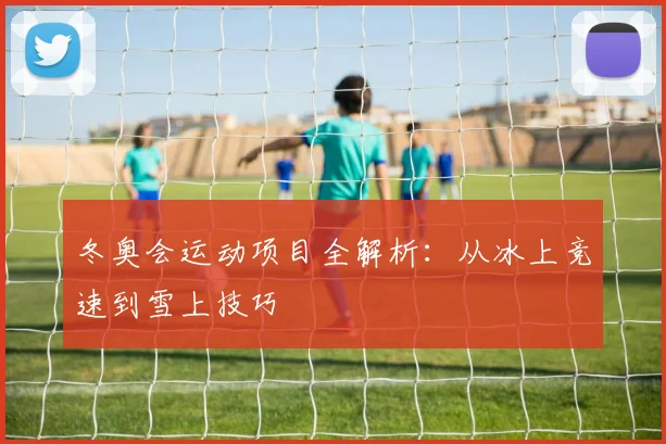 冬奥会运动项目全解析：从冰上竞速到雪上技巧