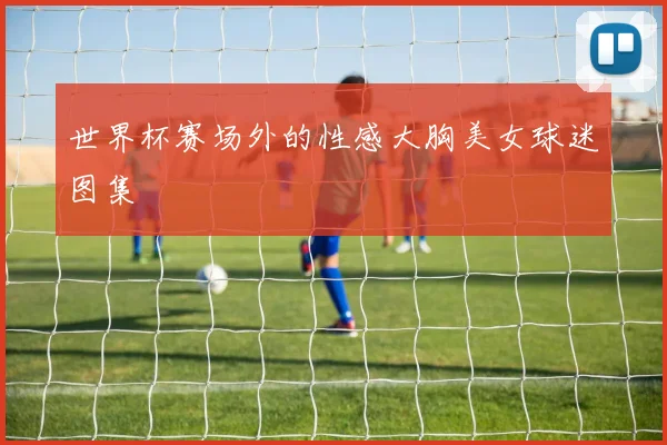 世界杯赛场外的性感大胸美女球迷图集