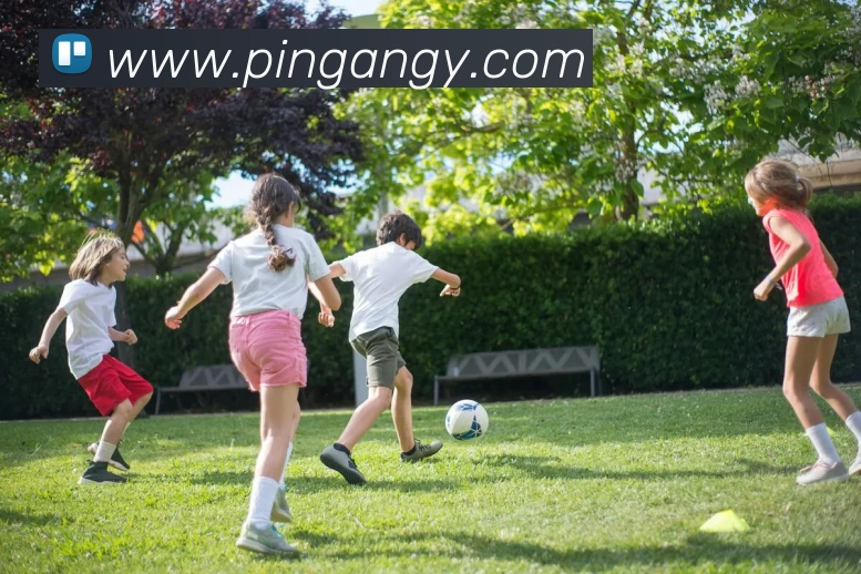 云开体育app官方下载发展历程